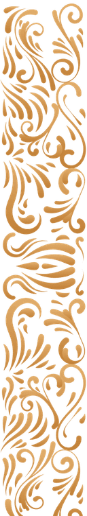 Elegant Side Border